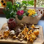 Skalnica Pokoje Goscinne - Sniadania, Obiady Mozliwe Do Zakupu W Sasiednim Obiekcie Homestay