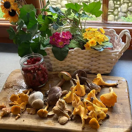 Skalnica Goscinne - Sniadania, Obiady Mozliwe Do Zakupu W Sasiednim Obiekcie Pansiyon